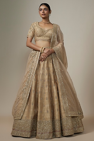Gold Metallic Organza Motif Hand Embroidered Lehenga Set by Kalighata