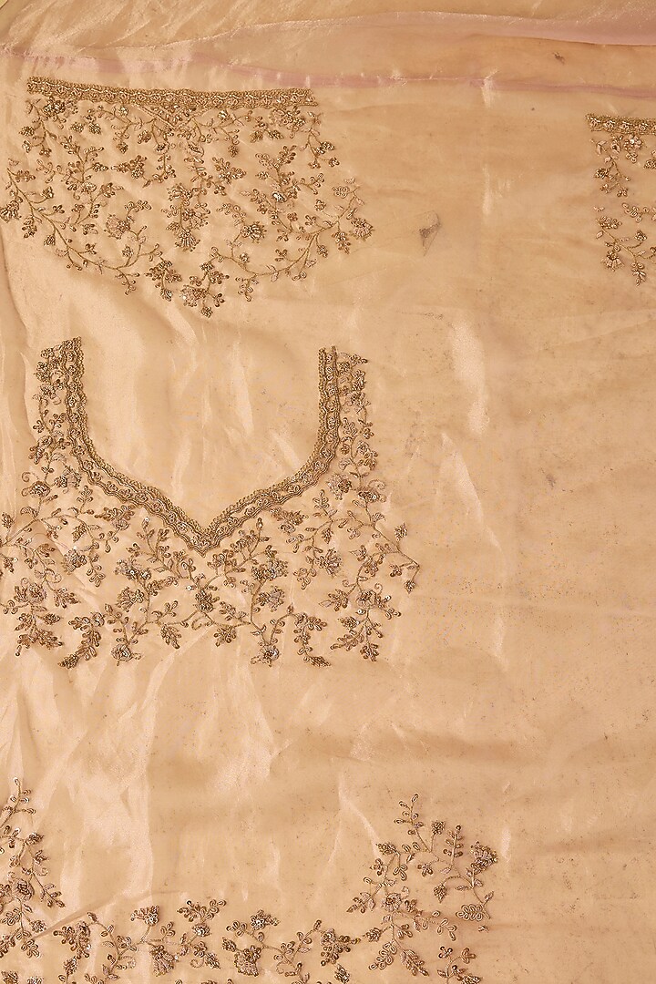 Pink Tissue Hand & Machine Embroidered Bridal Saree Set by Kalighata at Pernia's Pop Up Shop