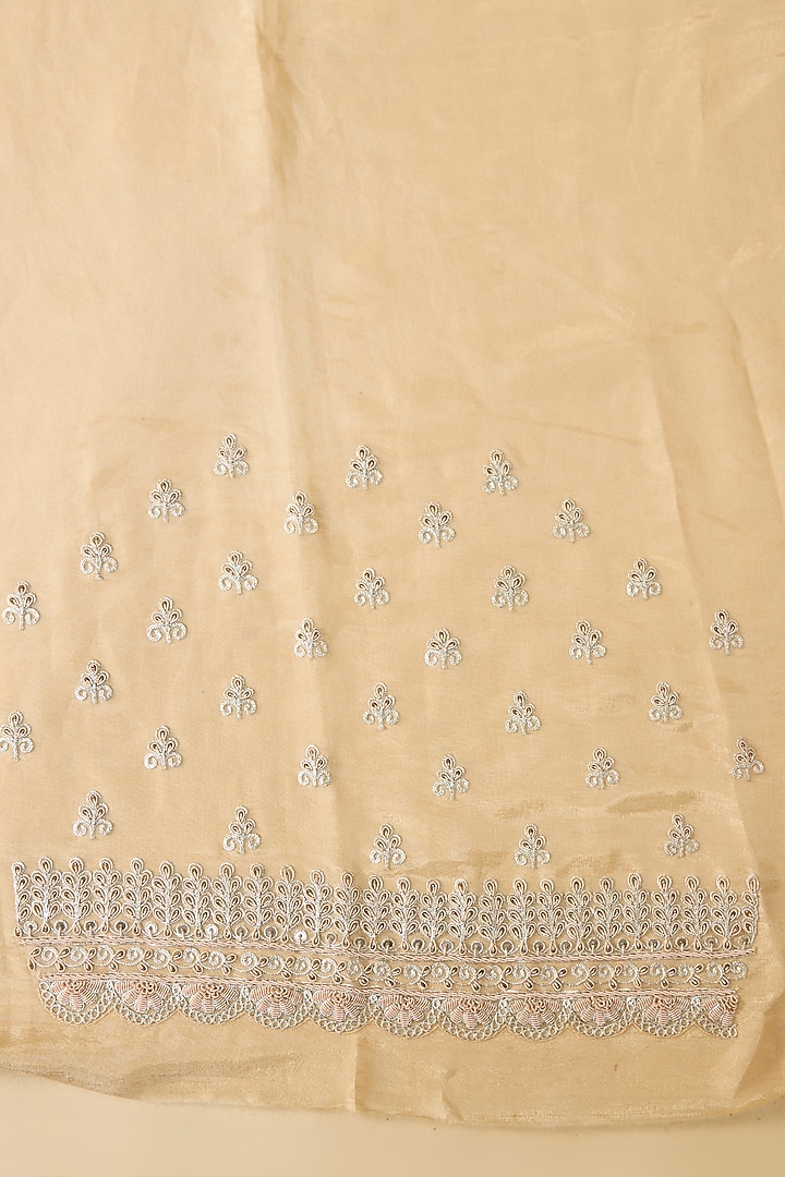 Golden Tissue Hand & Machine Embroidered Reception Saree Set by Kalighata at Pernia's Pop Up Shop