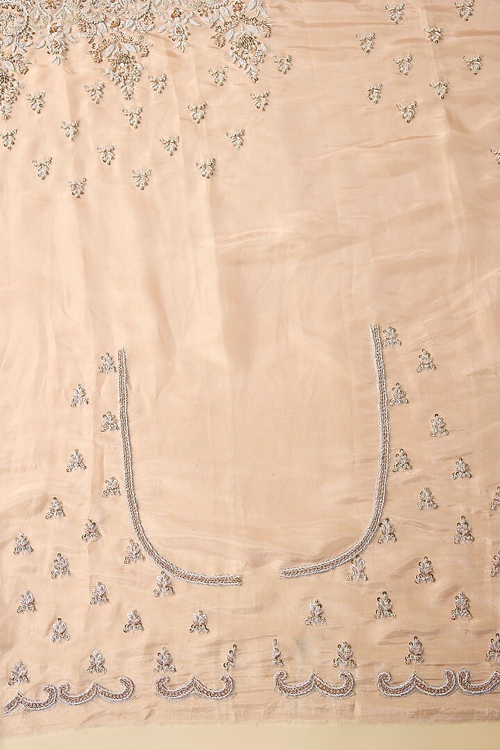 Pink Tissue Hand & Machine Embroidered Reception Saree Set by Kalighata at Pernia's Pop Up Shop