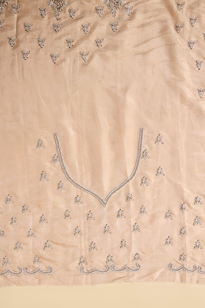 Pink Tissue Hand & Machine Embroidered Reception Saree Set by Kalighata at Pernia's Pop Up Shop