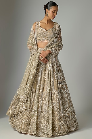Grey Organza Lehenga Set by Kalighata