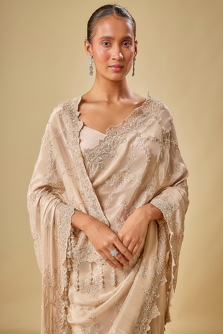 Gold Tissue Hand & Machine Embroidered Reception Saree Set by Kalighata at Pernia's Pop Up Shop