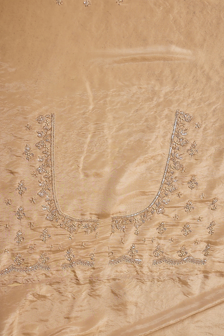 Gold Tissue Hand & Machine Embroidered Reception Saree Set by Kalighata at Pernia's Pop Up Shop