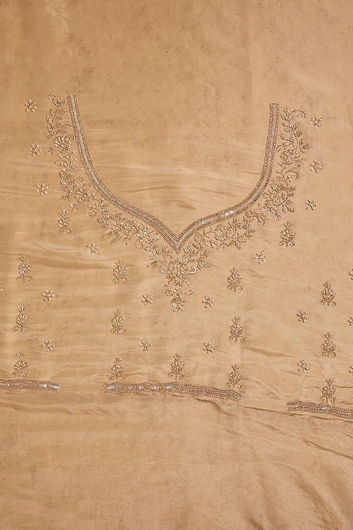 Gold Tissue Hand & Machine Embroidered Reception Saree Set by Kalighata at Pernia's Pop Up Shop