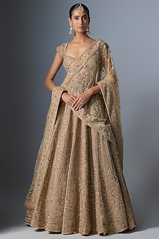 Mousse Brown Velvet Embroidered Lehenga Set by Kalighata