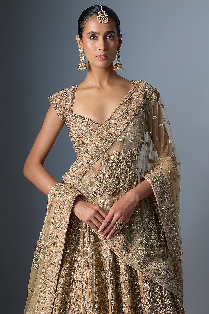 Mousse Brown Velvet Embroidered Bridal Lehenga Set by Kalighata at Pernia's Pop Up Shop