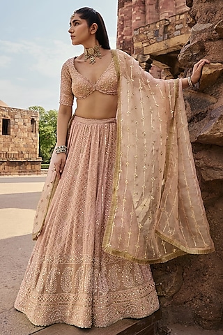 Blush Pink Chikankari Silk Georgette Embroidered Lehenga Set by Kritika Dawar