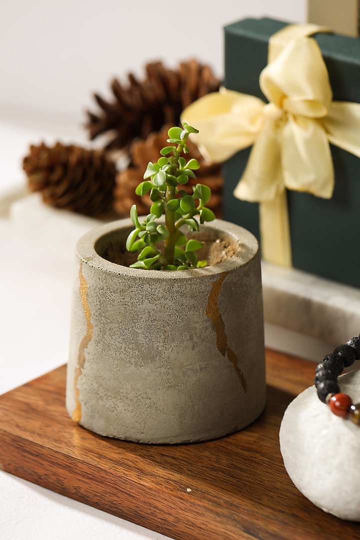 Gold Candle Holder & Concrete Planter by Kaksh studio at Pernia's Pop Up Shop