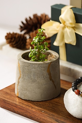 Grey Concrete Planter by Kaksh studio