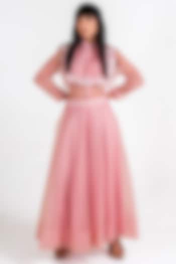 Pink Sheer Organza & Taffeta Embroidered Skirt Set by KLITCHE at Pernia's Pop Up Shop