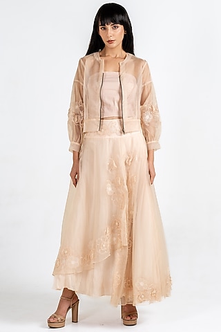 Peach Organza 3D Floral Embroidered Skirt Set by Kliitche by Isha Kedia