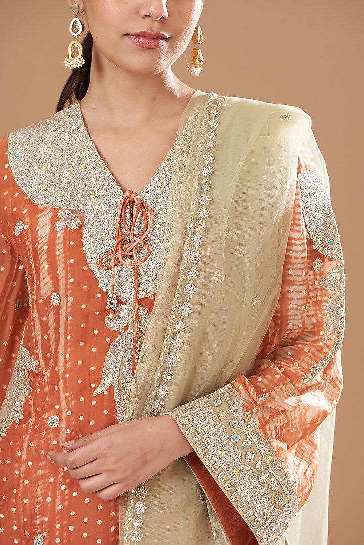 Brown Organza Embroidered Gharara Set by Kisneel by Pam at Pernia's Pop Up Shop