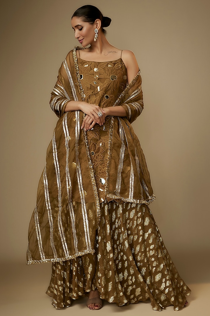 Brown Georgette Gota Striped Embroidered Sharara Set by Kriti Bapna