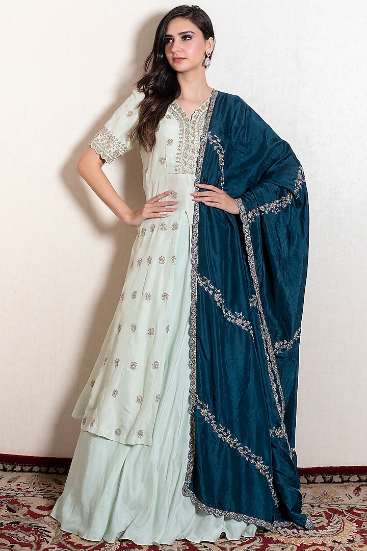 Powder Blue Silk Embroidered Gown by Kesar studio