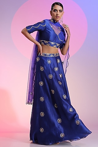 Blue Handwoven Cotton Silk Embroidered Lehenga Set by Kudi Pataka Designs 