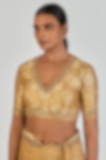 Gold-Yellow Banarasi Silk Marodi Embroidered Blouse by Lajjoo c at Pernia's Pop Up Shop