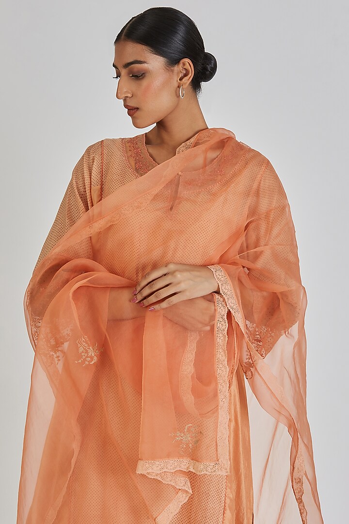 Peach Sheer Organza Zardosi Embroidered Dupatta by Lajjoo c at Pernia's Pop Up Shop