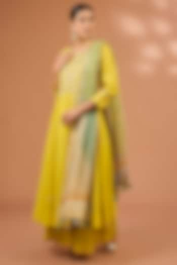 Lime Chanderi Silk Floral Jaal Hand Embroidered Kalidar Kurta Set by LOKA By Veerali Raveshia at Pernia's Pop Up Shop