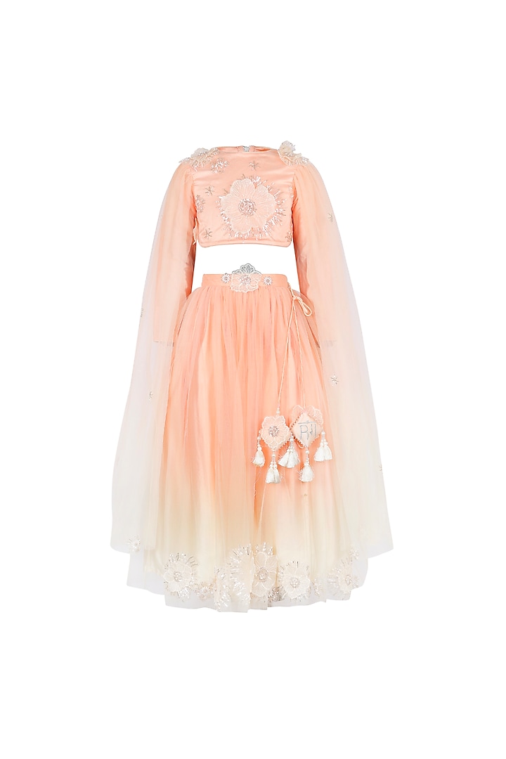 Peach Net Embroidered Lehenga Set For Girls by Les Petits at Pernia's Pop Up Shop