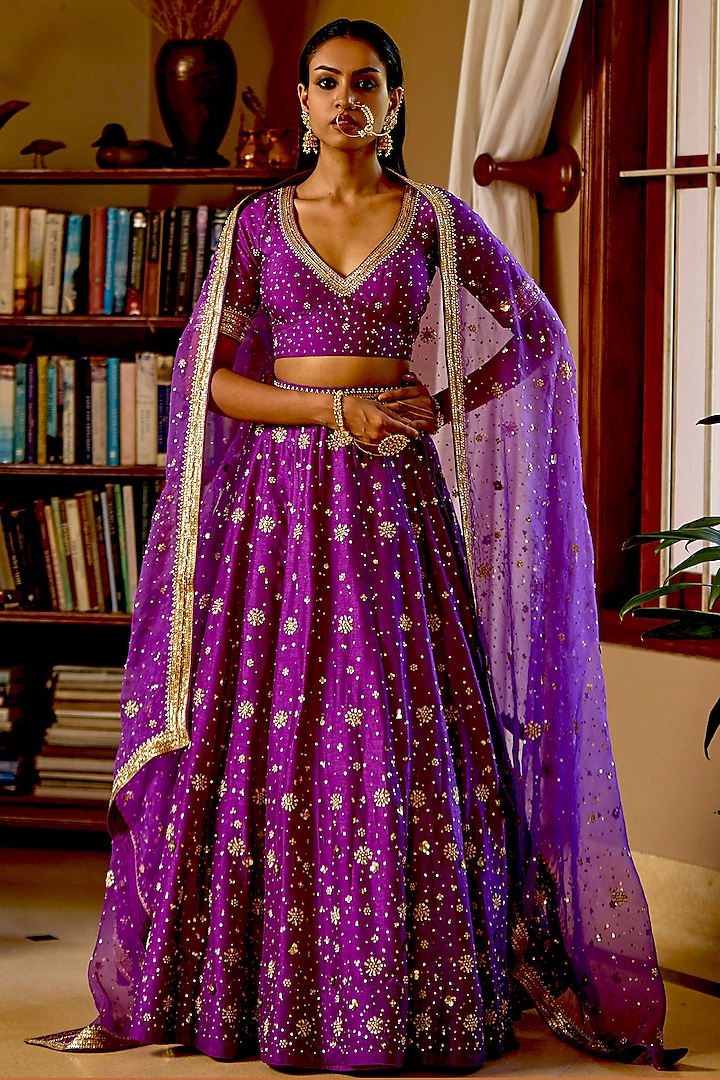 Purple Pure Dupion Silk Nakshi & Zari Hand Embroidered Kalidar Lehenga Set by Bbaawri