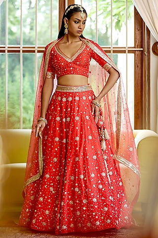 Tangy Red Pure Dupion Silk Nakshi & Zari Hand Embroidered Kalidar Lehenga Set by Bbaawri