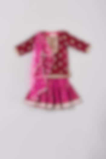Maroon Hand Embroidered Sharara Set For Girls by Little Bansi