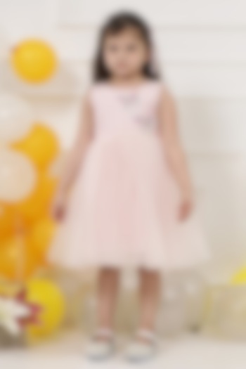 Pink Net Butterfly & Sequins Embroidered Dress For Girls by Little Bansi at Pernia's Pop Up Shop