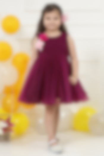 Wine Net Floral Hand Embroidered Pleated Dress For Girls by Little Bansi at Pernia's Pop Up Shop