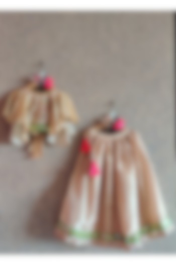 Brown Hand Embroidered Lehenga Set For Girls by Little Secrets at Pernia's Pop Up Shop