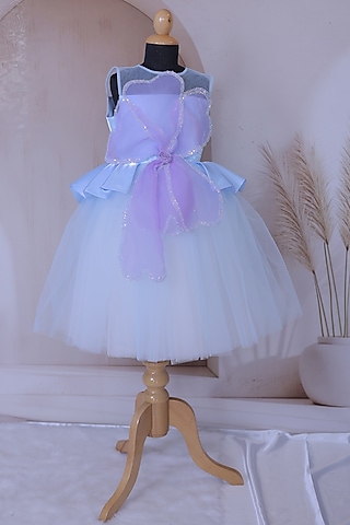 Multi-Colored Net & Organza Embellished Dress For Girls by Little Loom