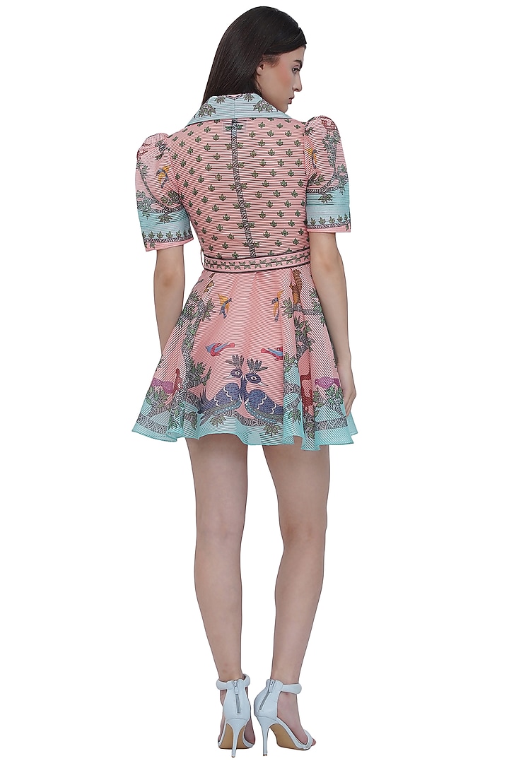 Multi-Colored Striped Textured Organza Printed Mini Vacation Dress by Limerick By Abirr N' Nanki at Pernia's Pop Up Shop