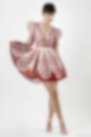 Ivory & Red Striped Organza Printed Mini Vacation Dress by Limerick By Abirr N' Nanki at Pernia's Pop Up Shop