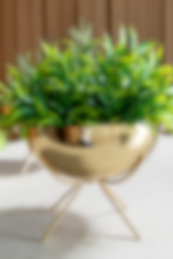 Shiny Gold Iron Table-Top Planter by Logam