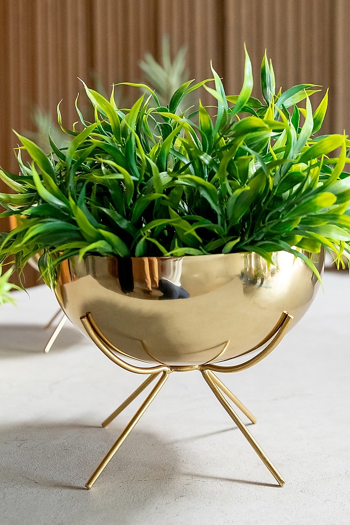 Shiny Gold Iron Table-Top Planter by Logam