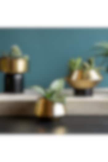 Gold Iron Footed Base Planter by Logam at Pernia's Pop Up Shop