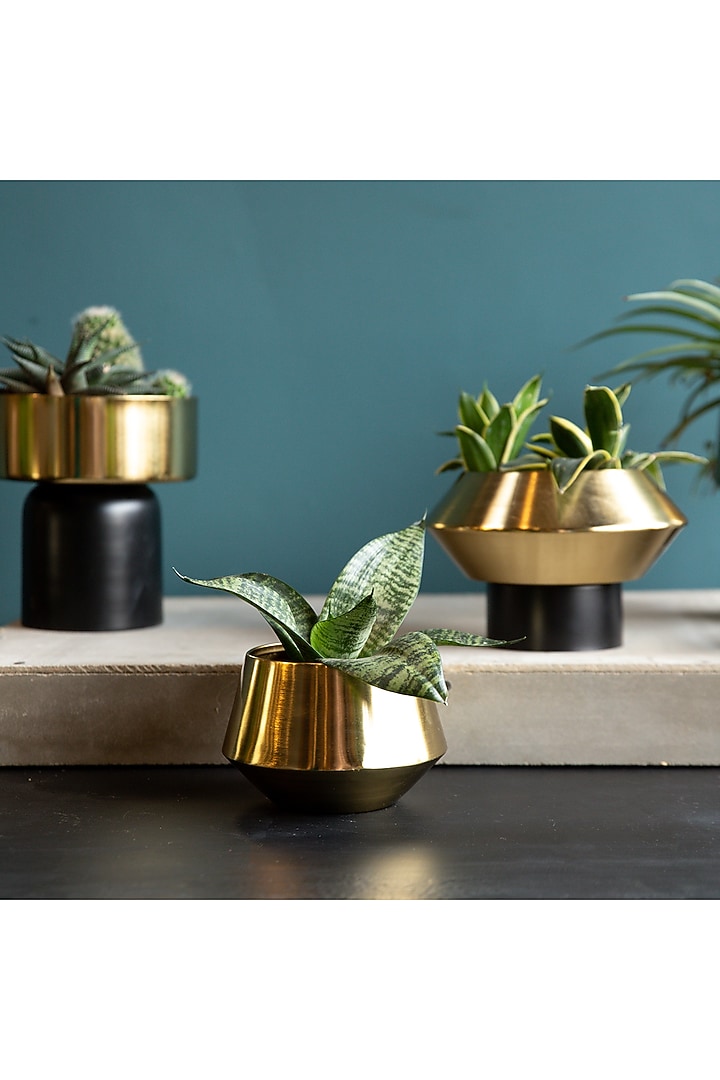 Gold Iron Footed Base Planter by Logam at Pernia's Pop Up Shop