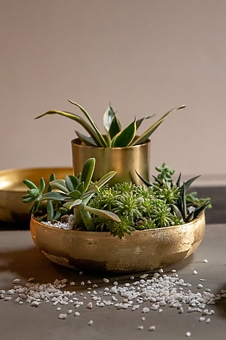 Gold Handcrafted Bowl & Pot (Set of 1 Bowl & 1 Pot) by Logam