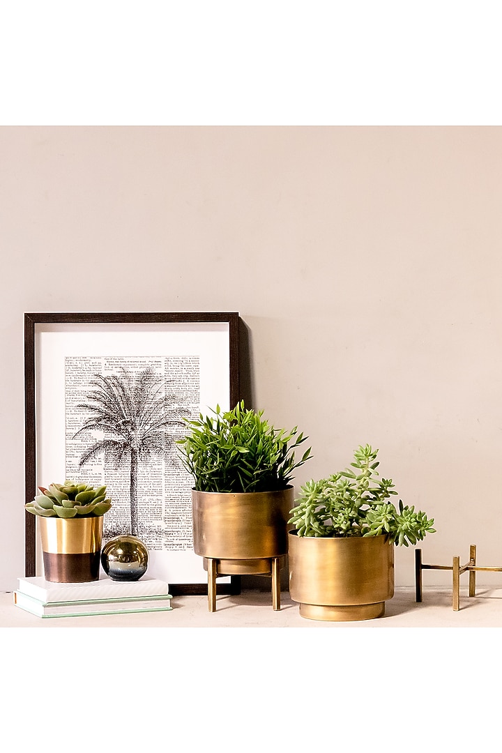 Antique Brass Iron Cylindrical Planter by Logam at Pernia's Pop Up Shop