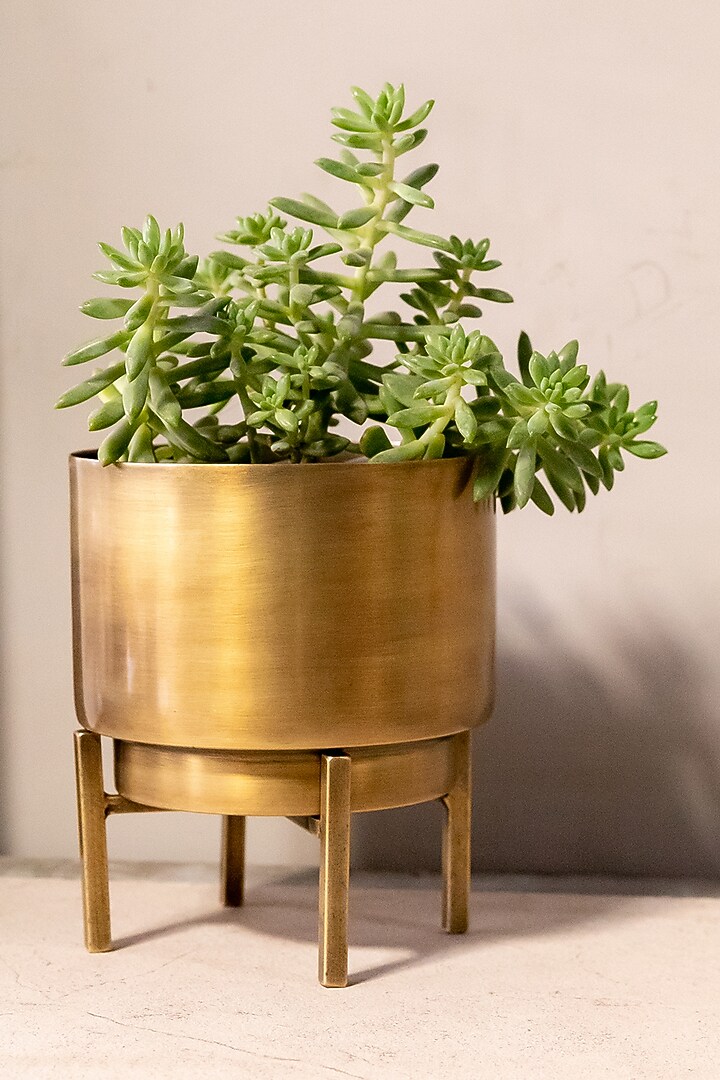 Antique Brass Iron Cylindrical Planter by Logam at Pernia's Pop Up Shop