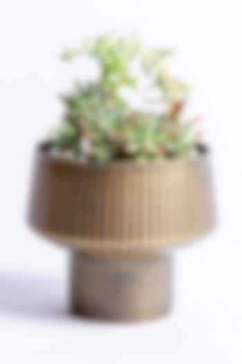 Antique Brass Mild Steel Planter (Small) by Logam at Pernia's Pop Up Shop