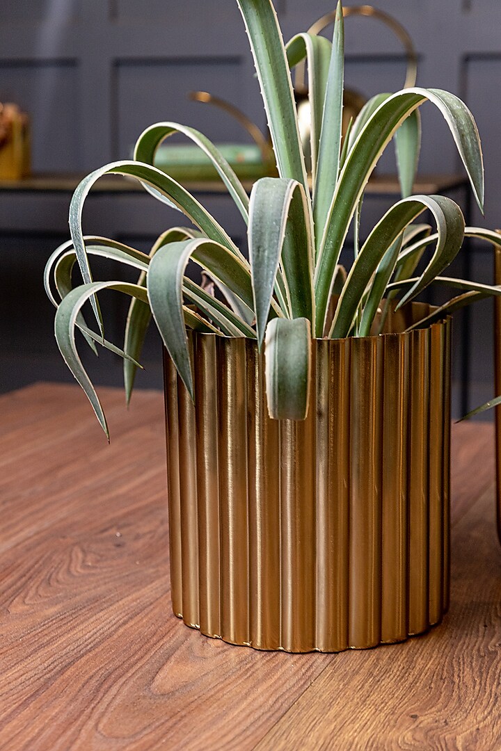 Shiny Gold Mild Steel Planter (Small) by Logam at Pernia's Pop Up Shop