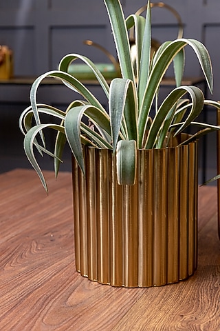 Shiny Gold Mild Steel Planter (Small) by Logam