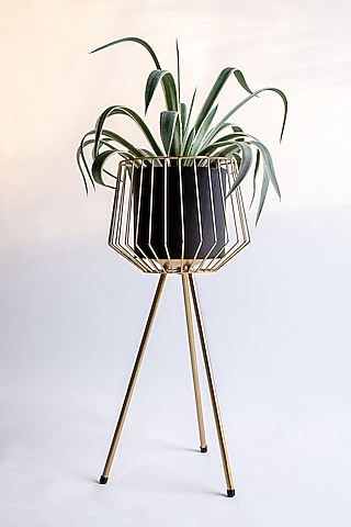 Black & Shiny Gold Mild Steel Planter by Logam