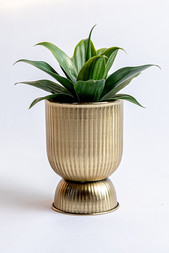 Shiny Gold Mild Steel Planter by Logam at Pernia's Pop Up Shop