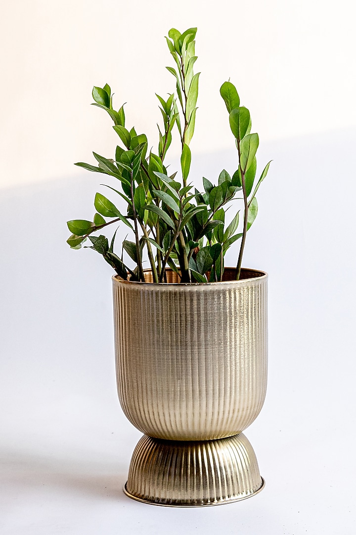 Shiny Gold Mild Steel Planter by Logam at Pernia's Pop Up Shop