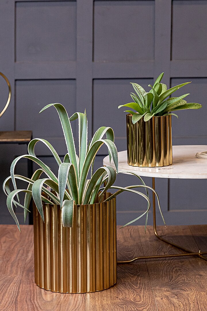 Shiny Gold Mild Steel Planters (Set of 2) by Logam at Pernia's Pop Up Shop