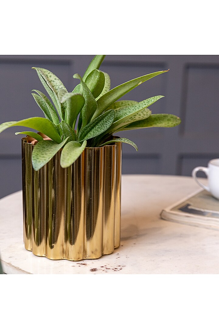 Shiny Gold Mild Steel Planters (Set of 2) by Logam at Pernia's Pop Up Shop