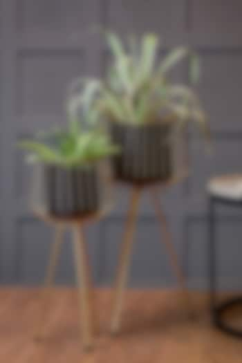 Black & Shiny Gold Mild Steel Planters (Set of 2) by Logam at Pernia's Pop Up Shop