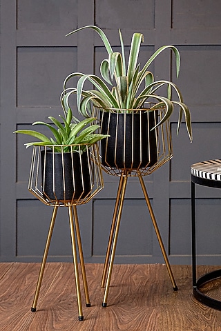 Black & Shiny Gold Mild Steel Planters (Set of 2) by Logam